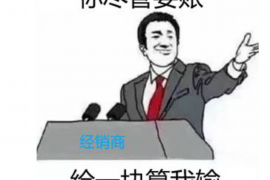 宜阳要账公司